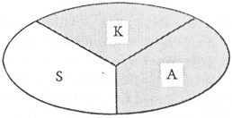 Beschwichtigende Reaktion Beschwichtigende Reaktion