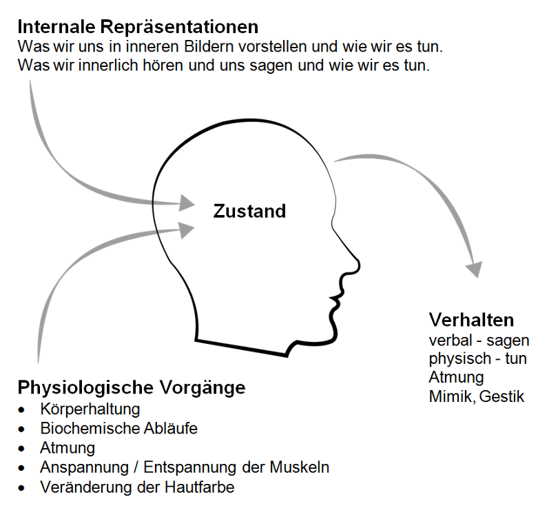 Internale Repräsentation