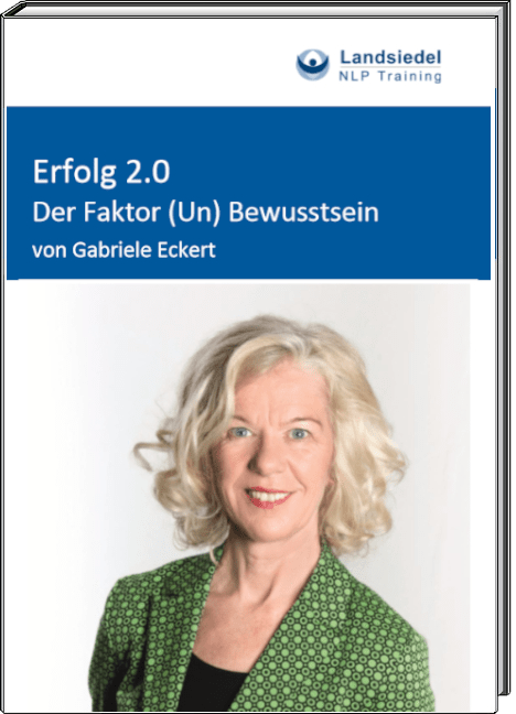 E-Book Erfolg 2.0