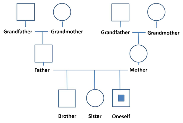 3 generational genogram