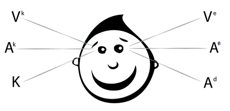 Модели движения глаз